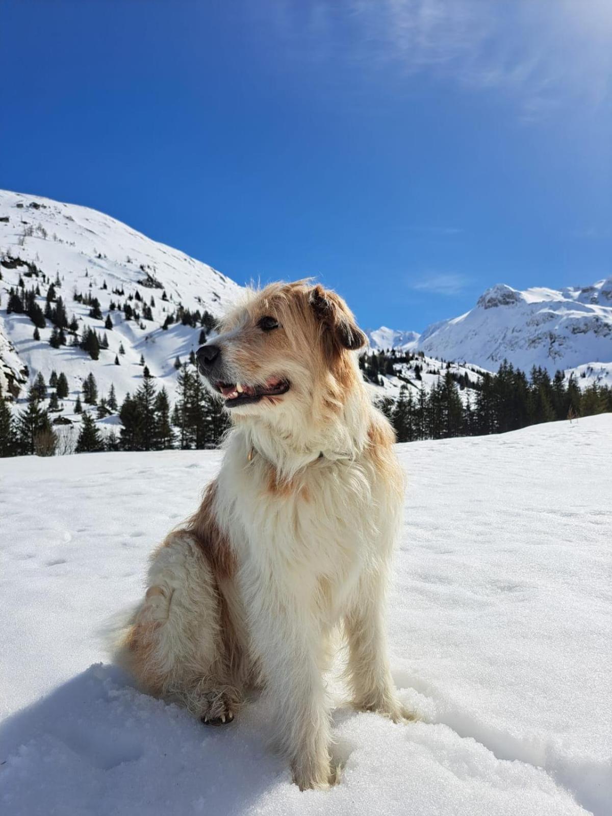 Grubers, Hotel Appartments Gastein バードガシュタイン エクステリア 写真