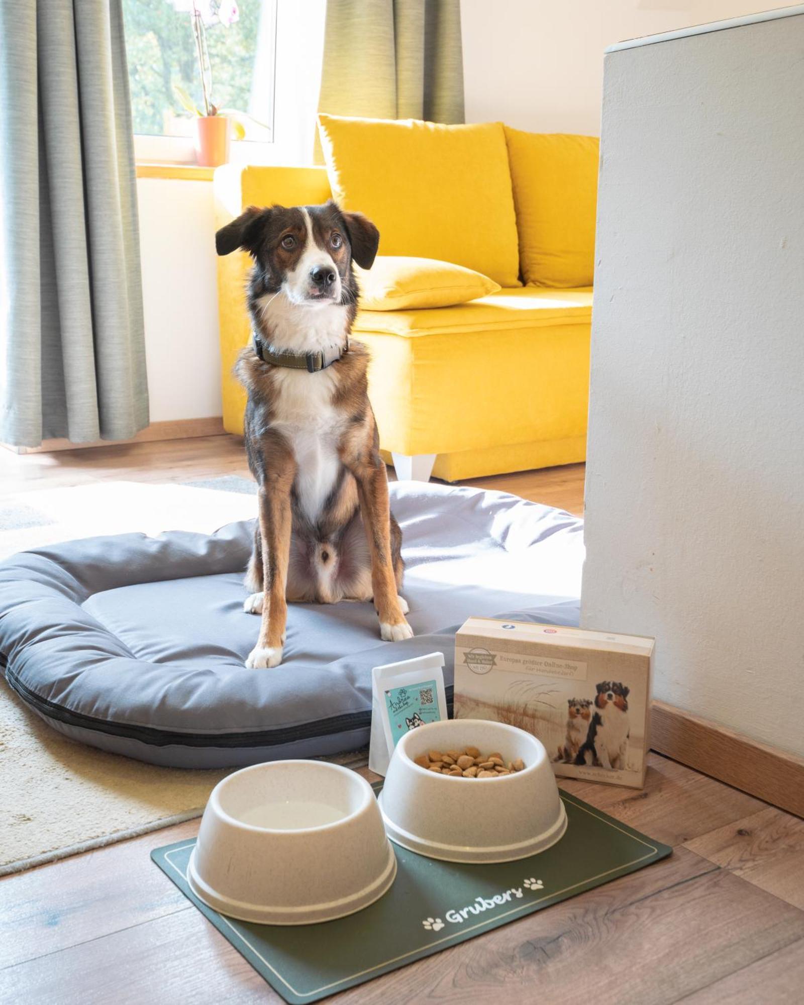 Grubers, Hotel Appartments Gastein バードガシュタイン エクステリア 写真